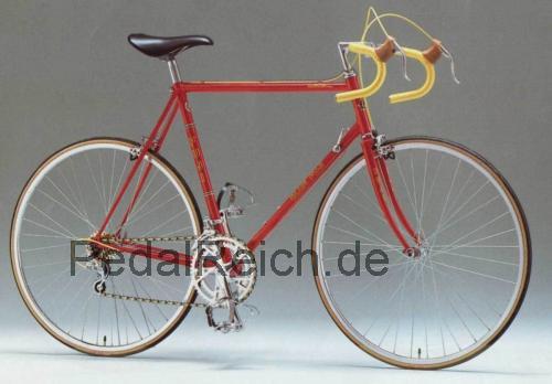 Fuji Valite technische daten